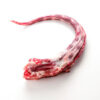 Turkey Necks