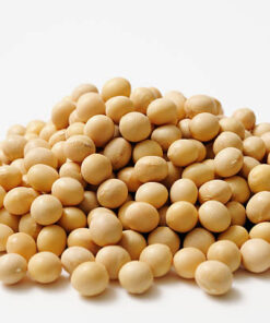 Organic Soya Beans
