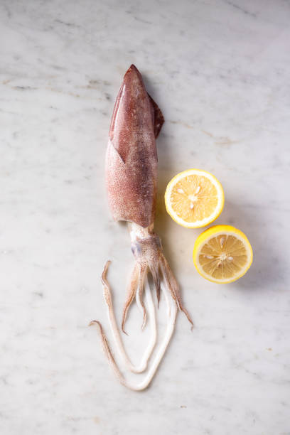Squid Tentacles - Image 2